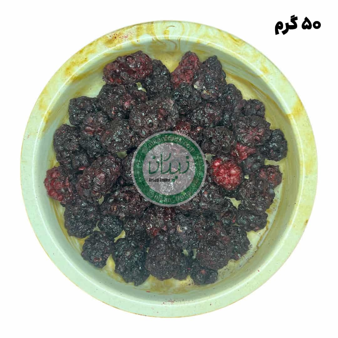  شاتوت خشک پفکی نیکان 