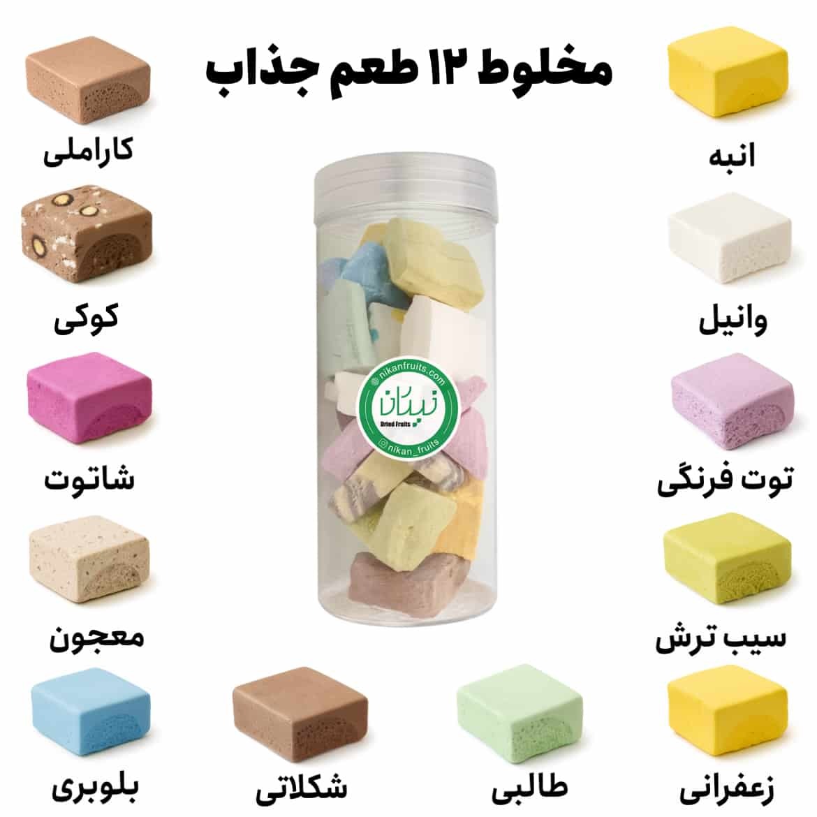  بستنی خشک مخلوط نیکان 